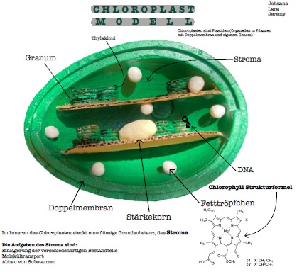 Chloroplast Modell 1