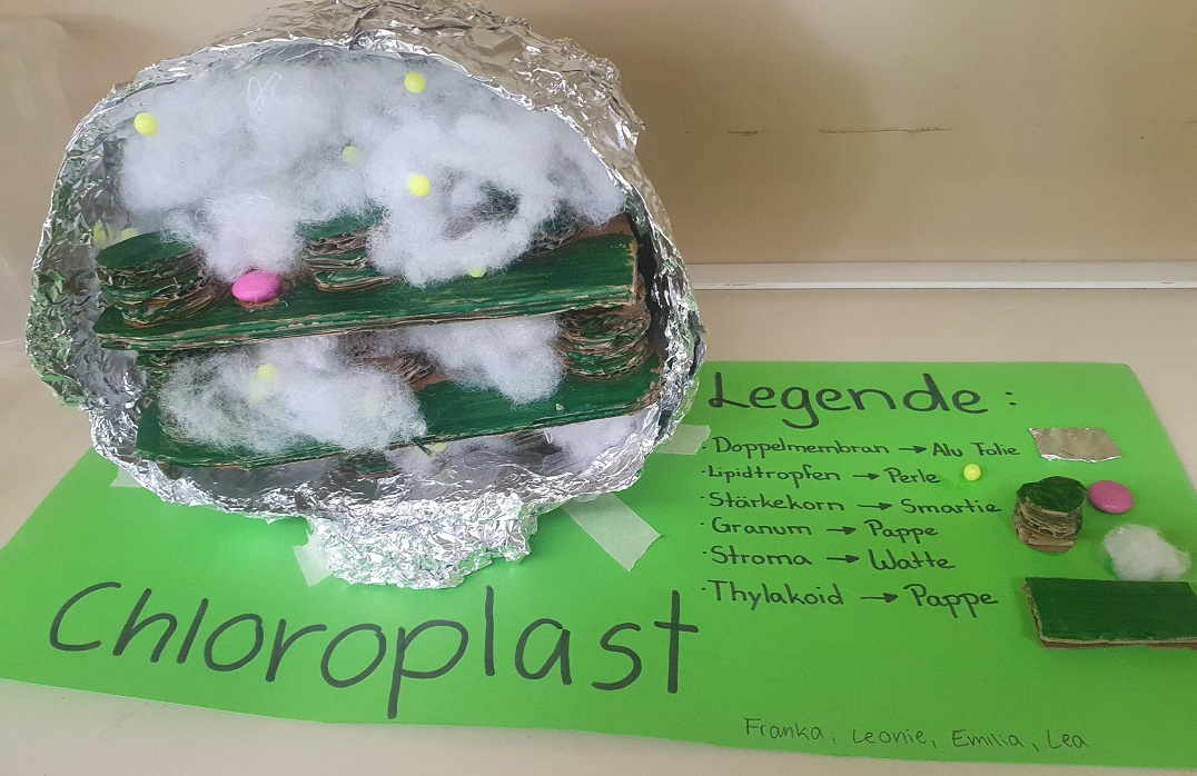 Chloroplast Modell 3